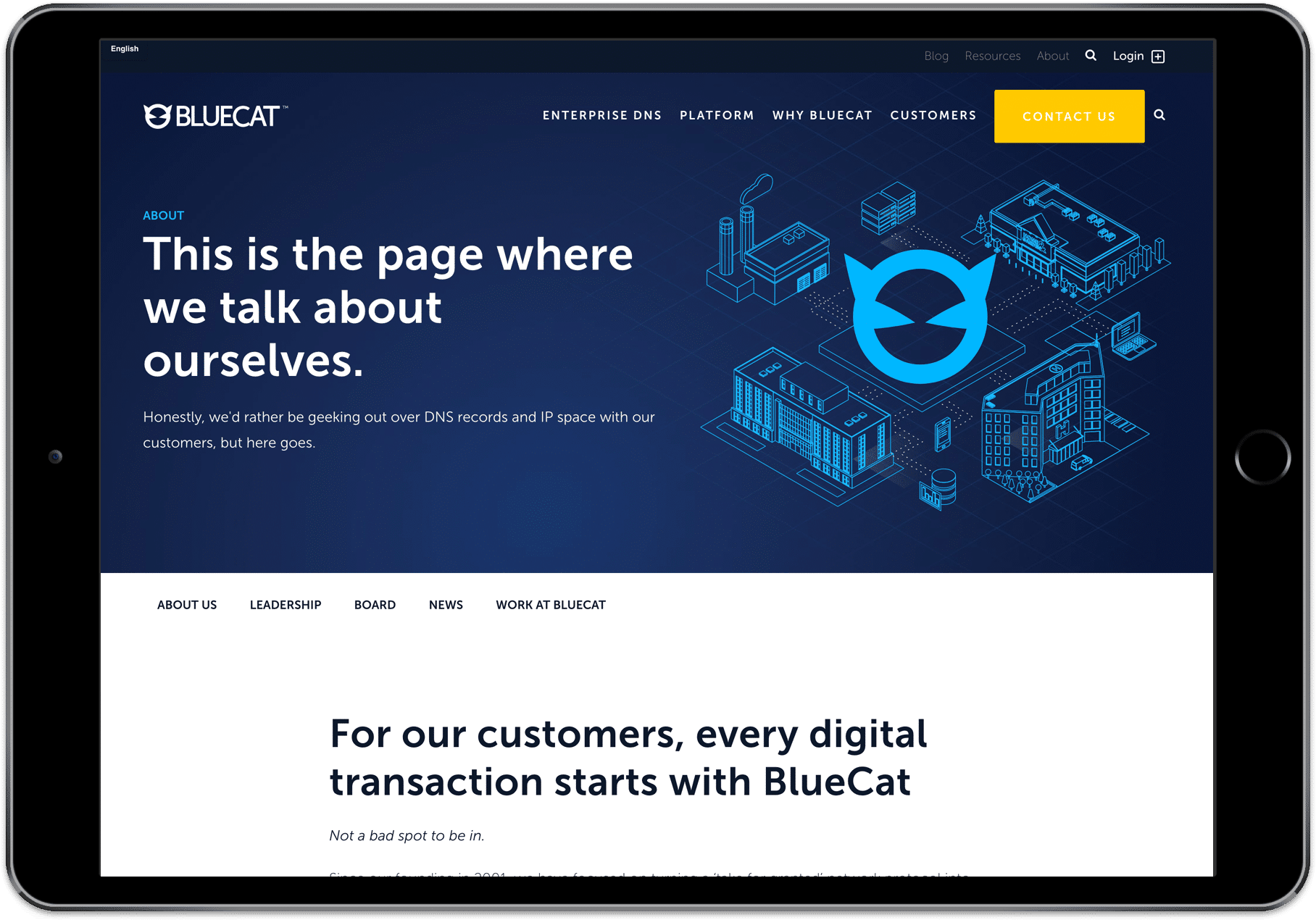 BlueCat - iPad design