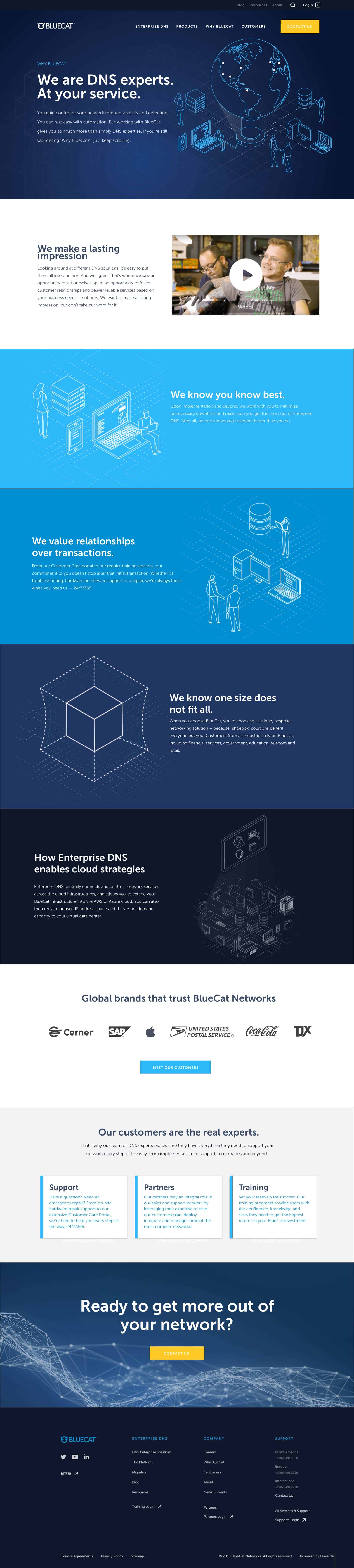 bluecat website design